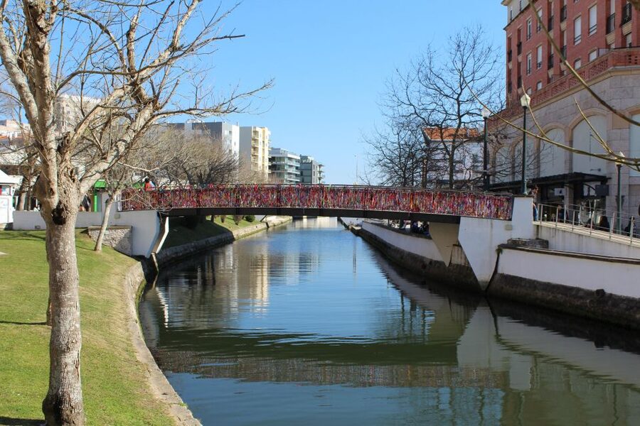 Aveiro: Private Walking Tour in the City and Moliceiro boat - Key points to know