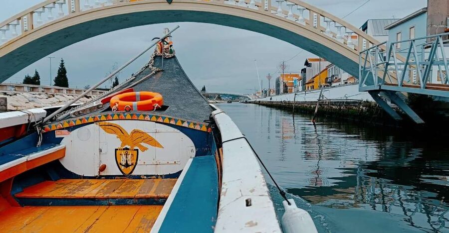 Aveiro: Private Walking Tour in the City and Moliceiro boat - Finishing on a 45-minute moliceiro cruise