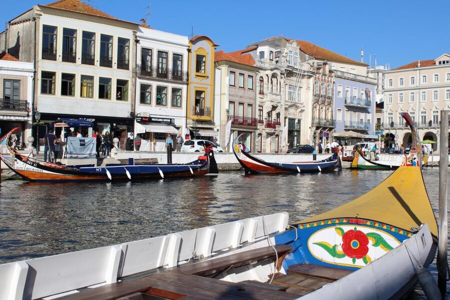 Aveiro: Private Walking Tour in the City and Moliceiro boat - How the private format changes the experience