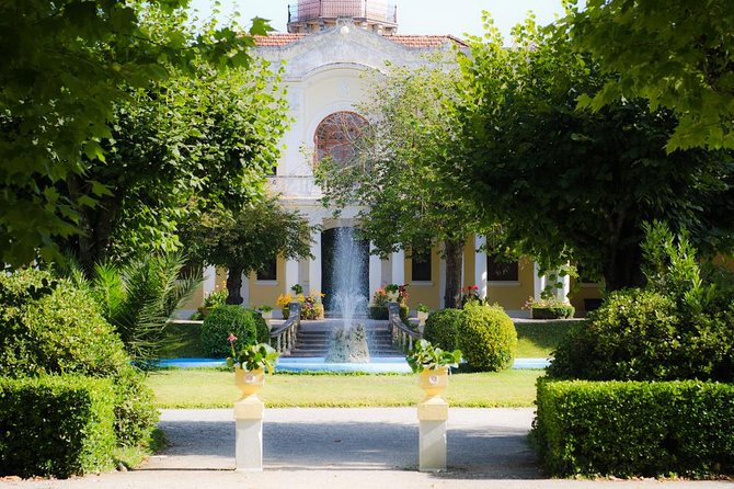 Bairrada Private Tour (Luso & Curia Villages) with Wine Tasting - What the guide adds to the day