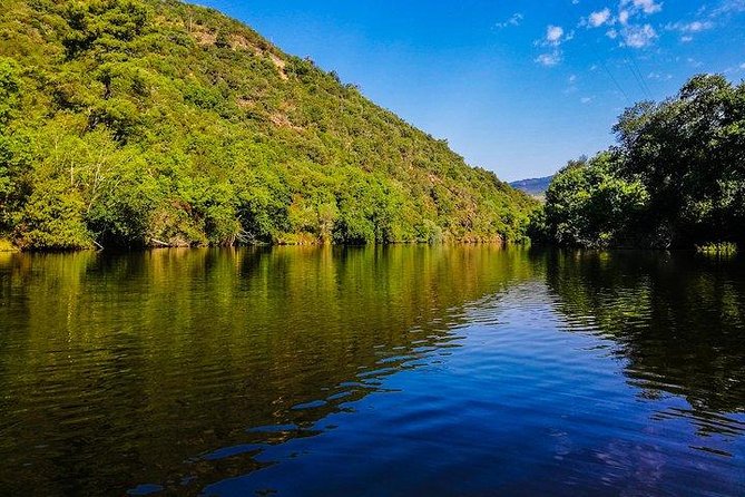 Best of Douro Valley Wine Full Day Private Tour - Leaving Porto for the Douro Valley