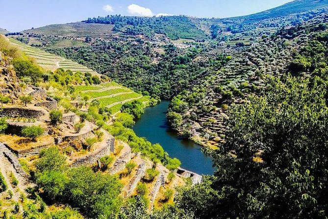 Best of Douro Valley Wine Full Day Private Tour - A fifteen-minute view over the Douro at Armamar