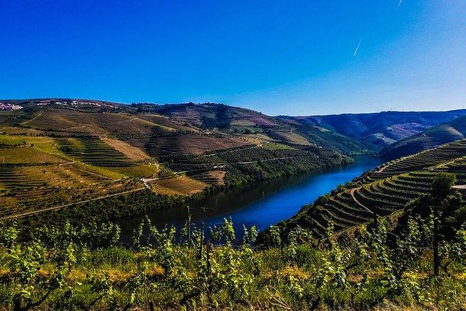 Best of Douro Valley Wine Full Day Private Tour - Lunch and a family winery in Provesende