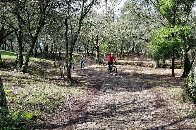 Bicycle rental in Porto for the Santiago de Compostela Road - Who will enjoy this bicycle rental most
