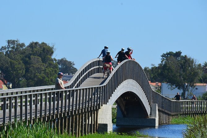 Bike or E-Bike Tour of Porto and Atlantic Coast - Weather, timing, and practical planning