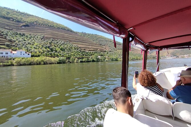 Boat tour 50min through the river Douro in Pinhão - Why this short Douro cruise works so well