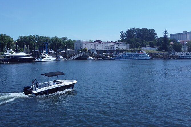 Boat Trip in Douro Porto - A quieter stretch of the Douro