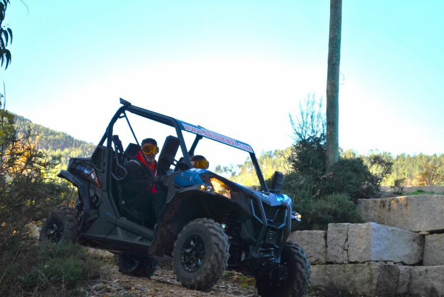 Buggy Experiences - Is $76 Good Value for Two?