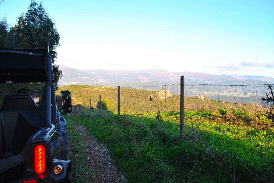 Buggy Experiences - Who Should Book This Experience?