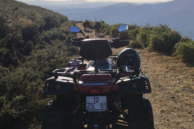 Buggy or Moto4 tour through Melgaço - Who will enjoy this ride most
