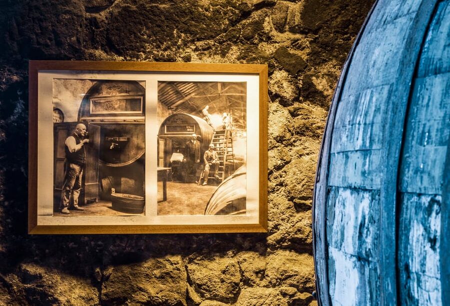 Burmester Cellar Tour - Two Port wines, not an oversized tasting