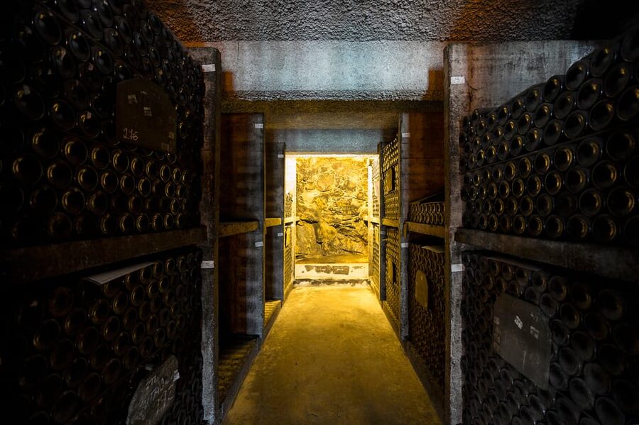 Burmester Cellar Tour - What the guide adds to the hour