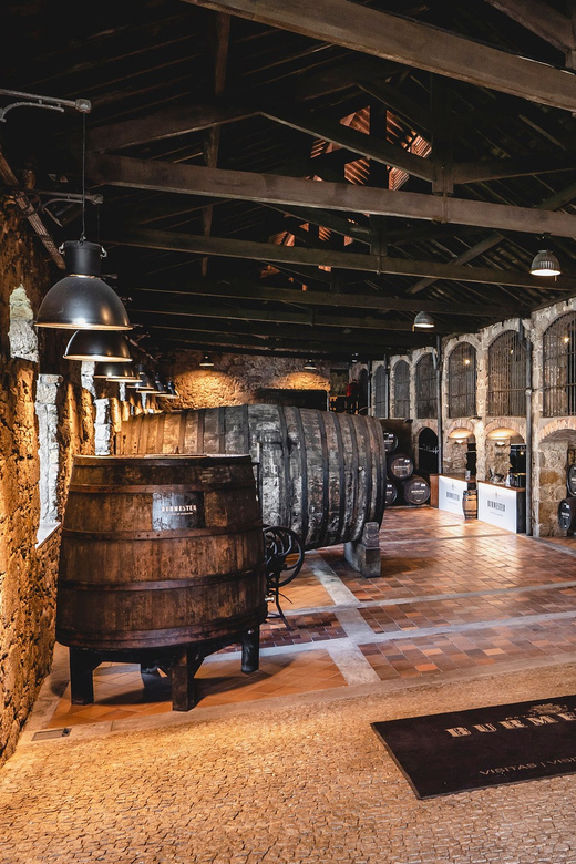 Burmester Cellar Tour - Who will enjoy this Burmester visit