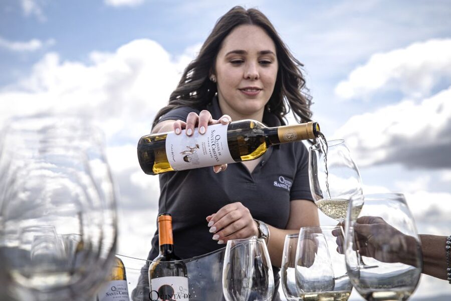 Celorico De Basto: Quinta de Santa Cristina Winery Tour - A Mountain Setting for Vinho Verde
