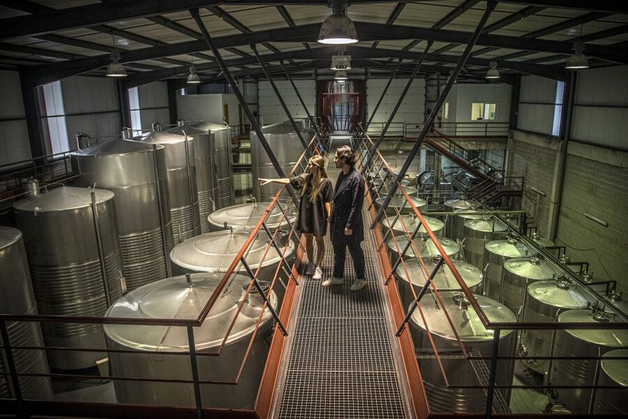 Celorico De Basto: Quinta de Santa Cristina Winery Tour - Should You Book Quinta de Santa Cristina?