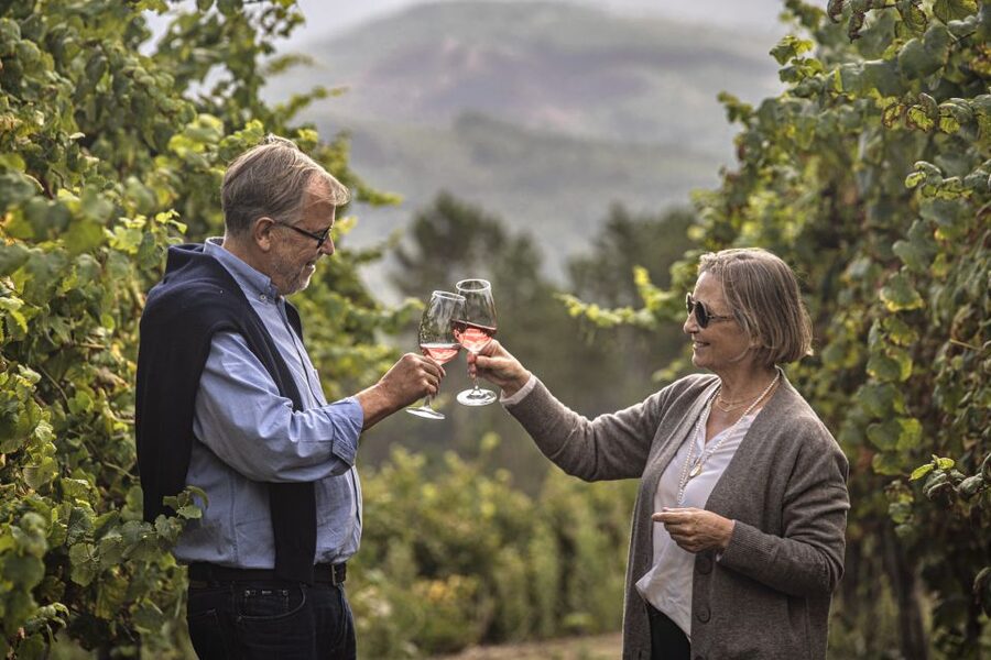 Celorico De Basto: Quinta de Santa Cristina Winery Tour - Understanding the Vinhos Verdes Region