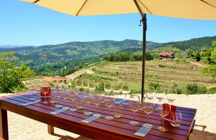 Celorico De Basto: Quinta de Santa Cristina Winery Tour - The One-Hour Tasting With Tapas