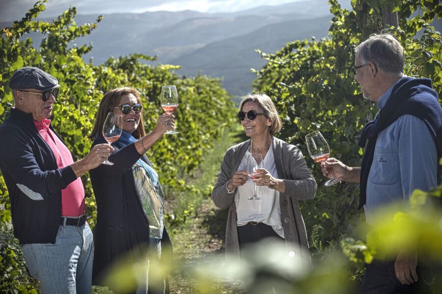 Celorico De Basto: Quinta de Santa Cristina Winery Tour - A Short Stop for Wine Shopping