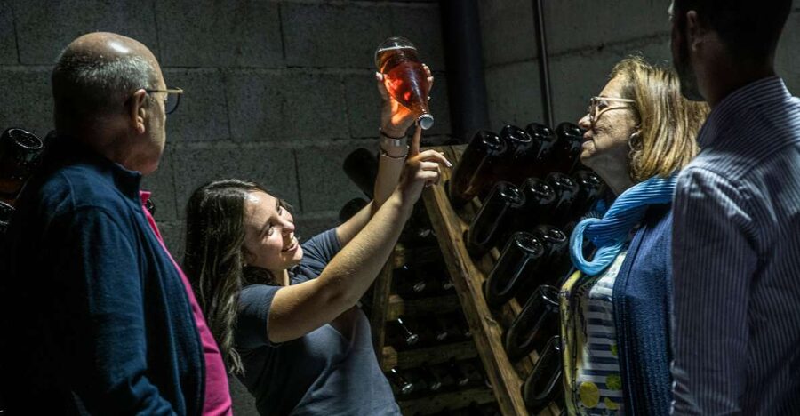 Celorico De Basto: Quinta de Santa Cristina Winery Tour - Is $28 a Fair Price?