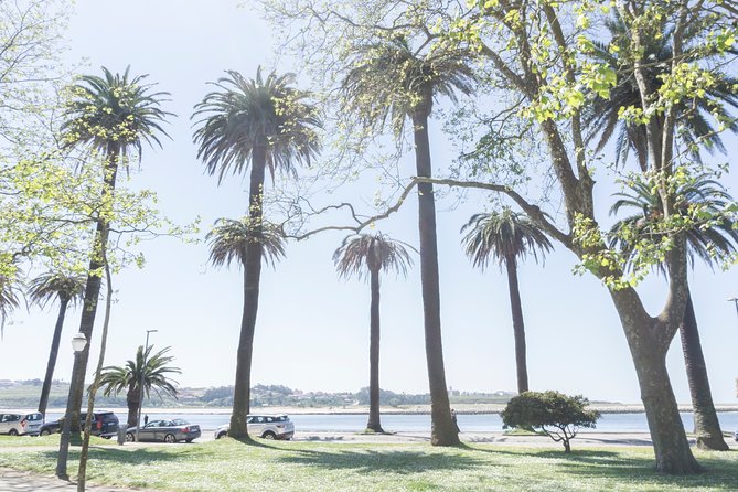 City Bike Rental in Porto - What the local advice adds to the ride