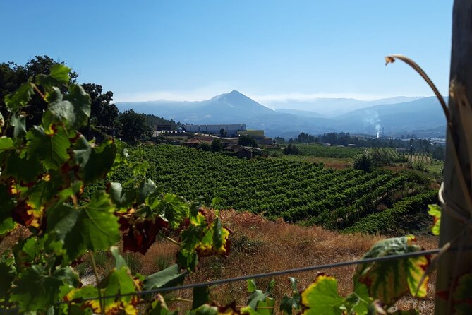 Classic Tasting | Quinta de Santa Cristina Vinho Verde - Arriving at Quinta de Santa Cristina near Braga
