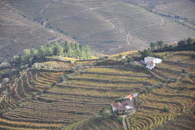 Classic Wine Tasting with GUIDED TOUR - My booking verdict for Quinta do Beijo