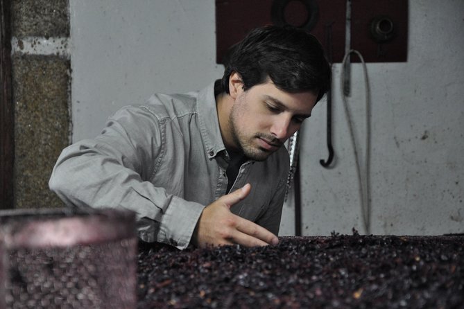 Classic Wine Tasting with GUIDED TOUR - The first stop: three table wines in the cellar