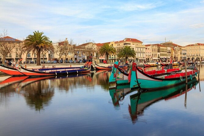 Coimbra & Aveiro Best-Of Private Tour – Customizable Experience - Coimbra’s old lanes, cathedral, and student traditions