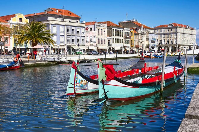 Coimbra & Aveiro Full Day Private Tour from Porto - Who will get the most from this itinerary