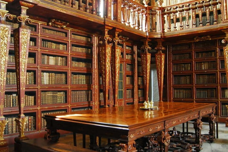 Coimbra & Aveiro Private Tour – Customizable Experience - The Joanina Library and University of Coimbra