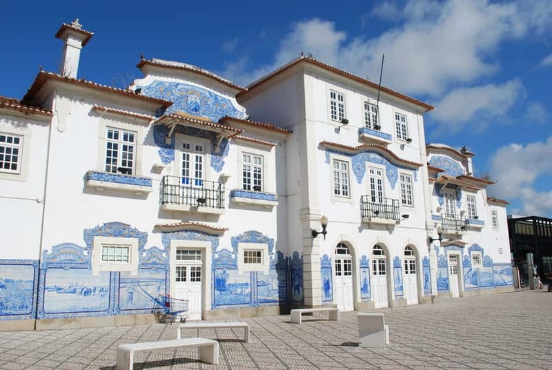 Coimbra & Aveiro Private Tour – Customizable Experience - Family options in Aveiro and Coimbra