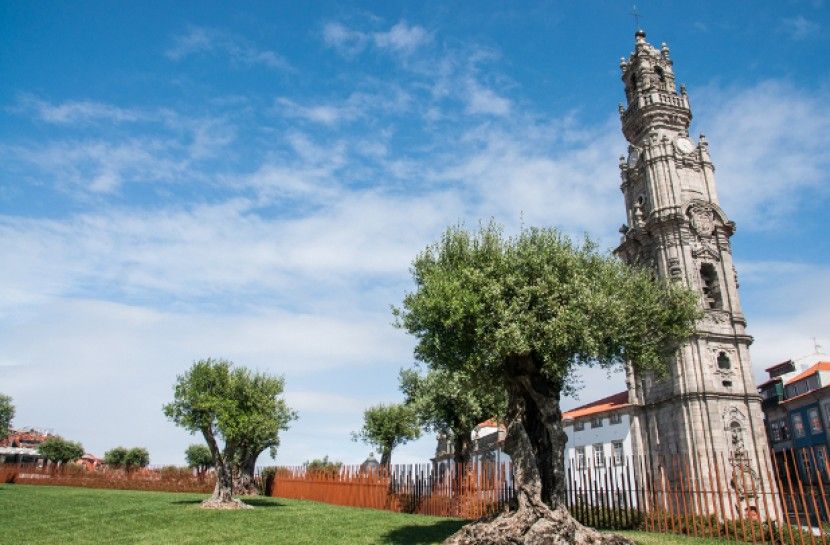 Combo: Porto City Half-Day Tour & Aveiro Half-Day Tour - Starting beside São Bento Station