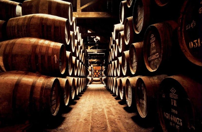 Combo: Porto City Half-Day Tour & Aveiro Half-Day Tour - Guides and language choices