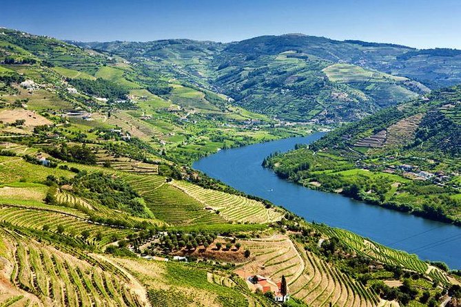 Complete Douro Valley Wine Tour with Lunch, Wine Tastings and River Cruise - The São Cristóvão viewpoint and National Road 222