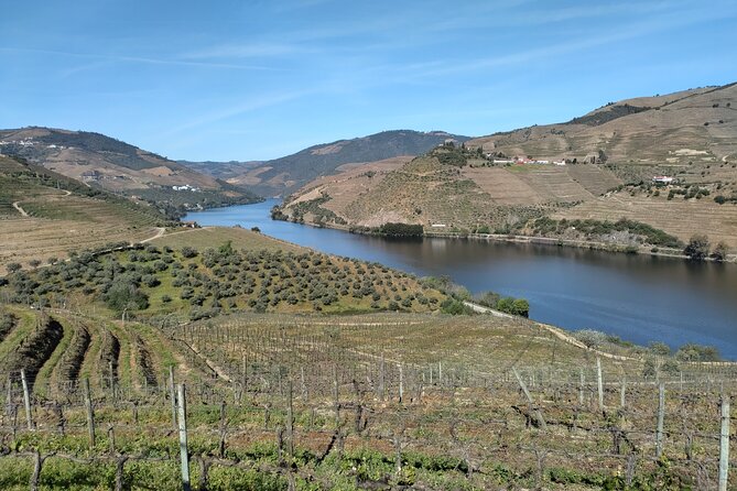 Complete Private Douro Valley Wine Tour - Sabrosa: lunch in a century-old home