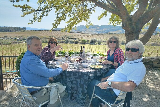 Complete Private Douro Valley Wine Tour - What the wine tastings are really worth