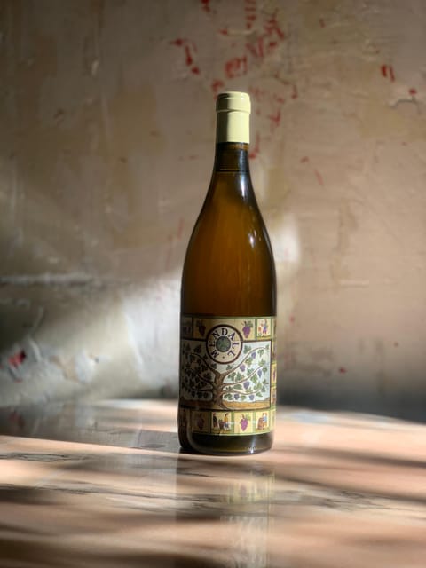 Córdoba: Discover the Soul of Spanish Natural Wine & Cuisine - Six pours, from sparkling to sweet