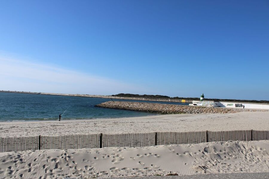 Costa Nova and Barra Beach Tour - Who should book this coastal sampler?