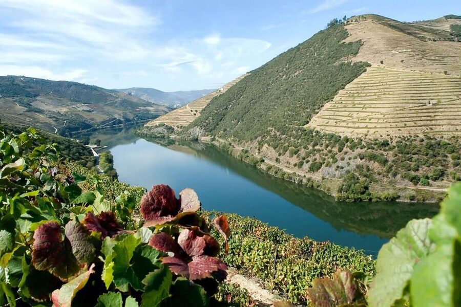 Day Cruise from Porto to Pinhão with Breakfast and Lunch - Weather, timing, and what to bring