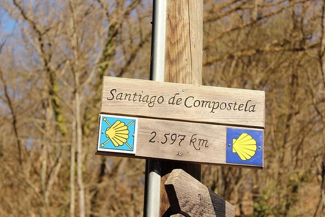 Day Trip from Porto to Santiago de Compostela and Valença - Guide quality and the limits of the format