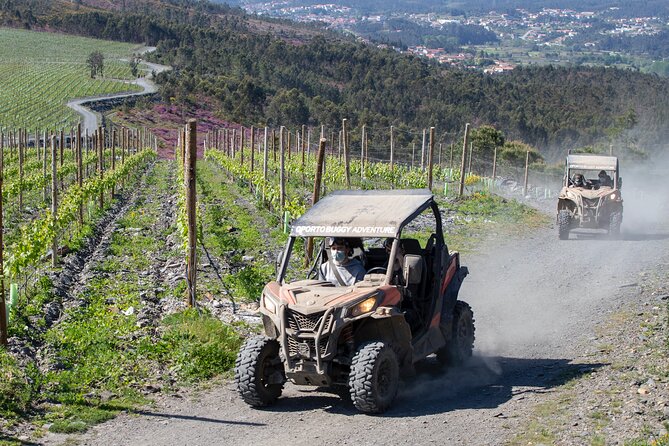 Dirt and Dust Tour by Oporto Buggy - Who should book this experience