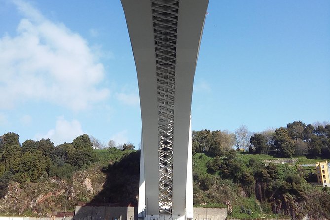 Discovering Porto in an eco-friendly vehicle - Serra do Pilar and Porto’s best wide-angle view