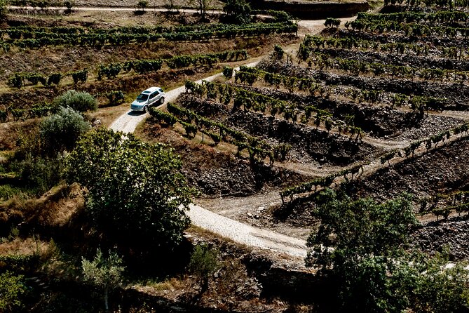 Douro Adventure - Tour 4x4 | Full Day Private Tour | All Included - A family winery, lunch, and local wine