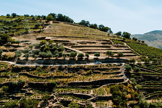 Douro Adventure - Tour 4x4 | Full Day Private Tour | All Included - The possible Douro boat ride