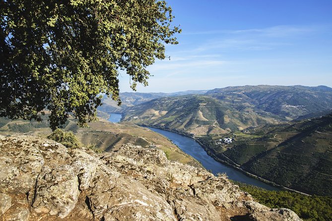 Douro Full Day Tour with Wine Tasting and Lunch - Key points at a glance