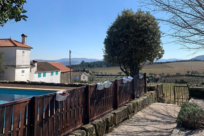 Douro Full Day Tour with Wine Tasting and Lunch - Why this Douro day works so well