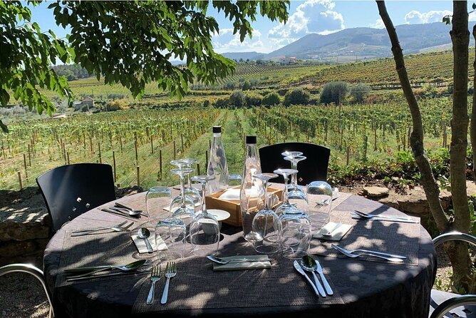 Douro Full Day Tour with Wine Tasting and Lunch - Five wines at Quinta Coimbra de Mattos