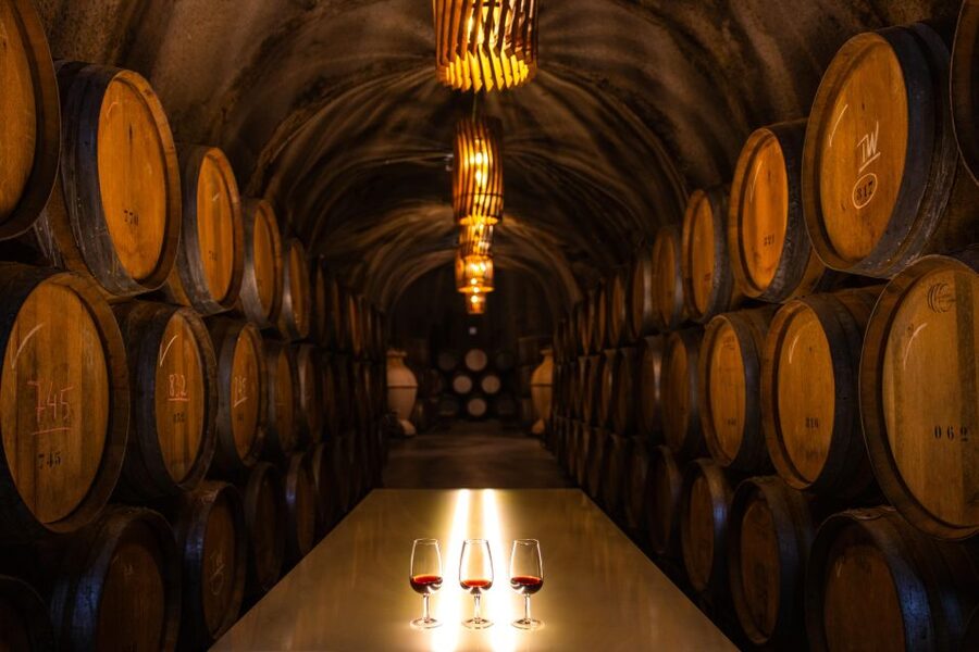 Douro Luxury - Private Cruise Premium Winery and Restaurant - Who should book this Douro experience?