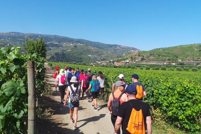 Douro: luxury walking tour with lunch at Quinta da Pacheca - Ana’s guiding style