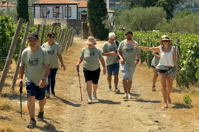 Douro: luxury walking tour with lunch at Quinta da Pacheca - Who should book this experience?